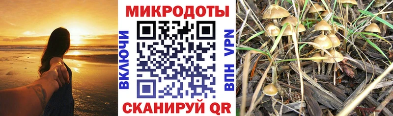 Купить где  Гремячинск  Галлюциногенные грибы мухоморы 